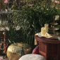 Event planners UAE
