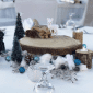Best wedding planners in Dubai | Event planners UAE - La Table Events