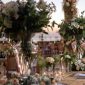 Rusticc garden wedding